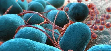 Closeup of teal-blue Escherichia coli balls covered in red yard-like strings.