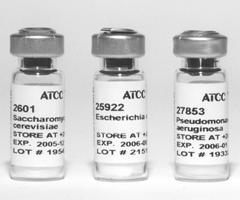 Small bottles of ATCC Preceptrol Cultures.