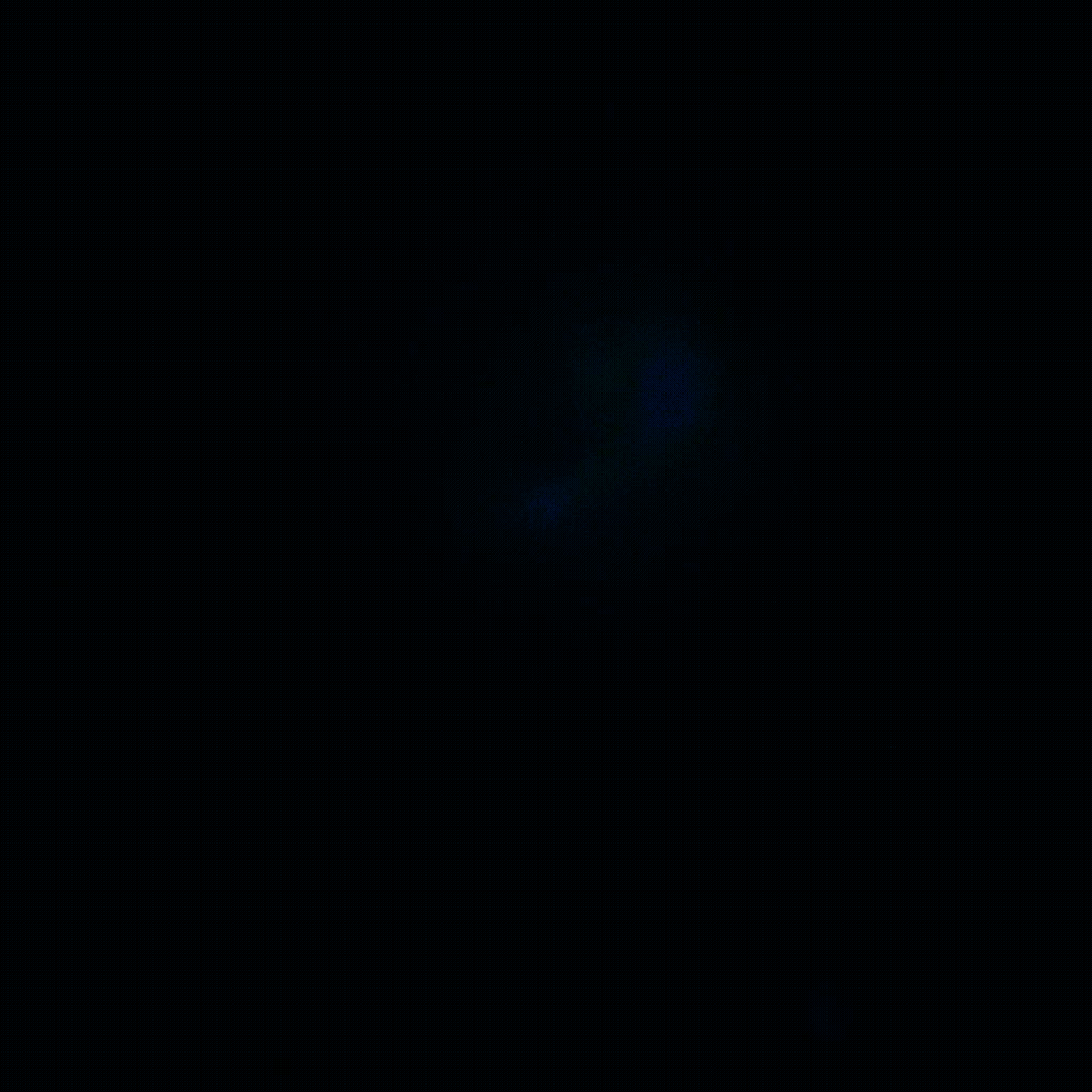 PDM-411 phalloidin dapi_06_20x mov conv.gif