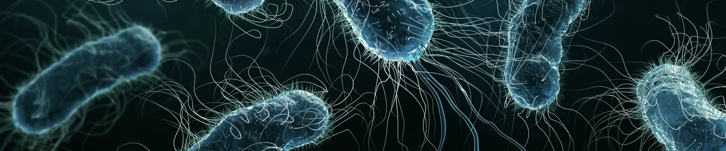 Colony of bacteria close-up 3D rendering illustration on blue background