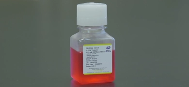 Square plastic bottle labeled Trypsin-EDTA with red liquid and white cap on a dark lab surface.