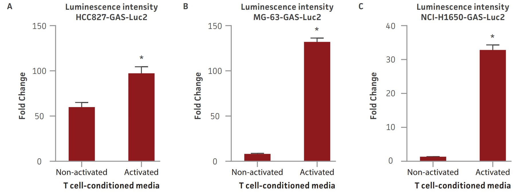 T cell-conditioned media stimulation on GAS-Luc2 cell lines