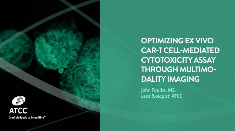 Optimizing ex vivo CAR-T cell-mediated.jpg