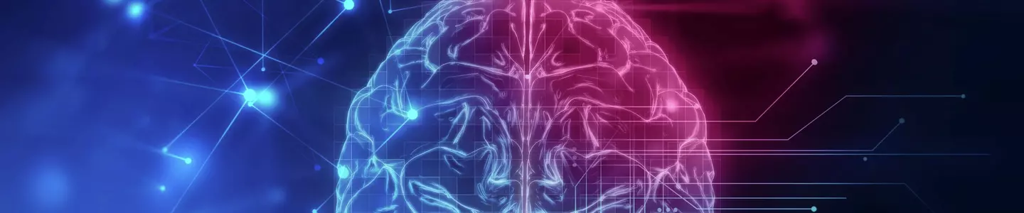 Brain iStock-611992272.jpg