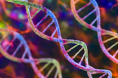 A colorful 3D illustration shows multiple intertwined DNA double helices rendered with bright, textured surfaces in shades of pink, purple, blue, and green. The helices appear suspended over an abstract, multicolored background, emphasizing genomic structure and molecular complexity.