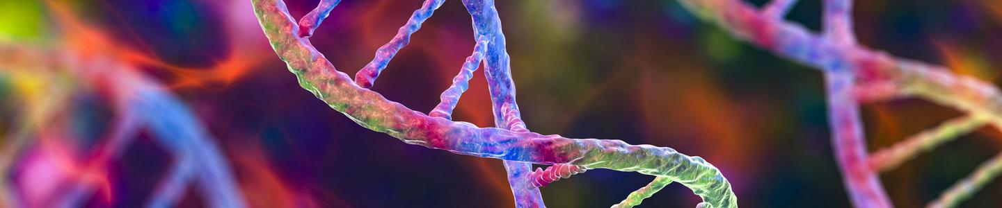 A colorful 3D illustration shows multiple intertwined DNA double helices rendered with bright, textured surfaces in shades of pink, purple, blue, and green. The helices appear suspended over an abstract, multicolored background, emphasizing genomic structure and molecular complexity.