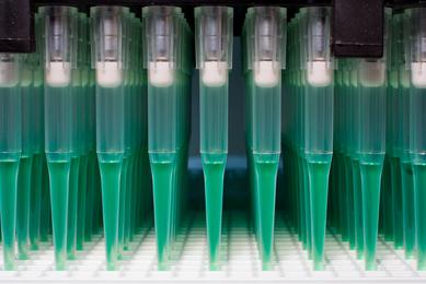 Integrating ATCC Reference Materials into your Molecular Diagnostics ...