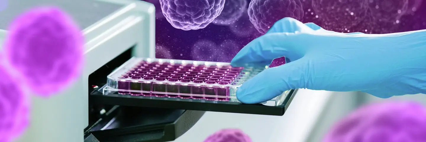 Spheroid pre-plated kit plate to measure OD with microplate reader. Microtiter plate (96 well) reader for biochemistry analysis.