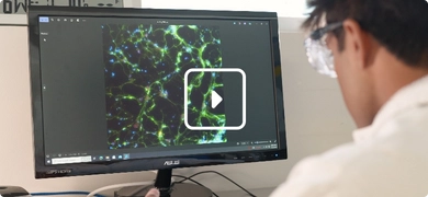 Scientist looking at a cell image on a computer monitor
