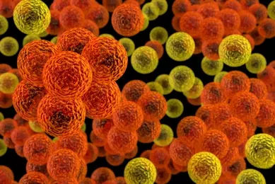 3d render illustration of cocci bacteria