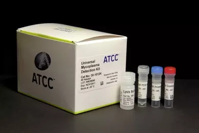 Assay Validation of a PCR-based Mycoplasma Detection Kit | ATCC