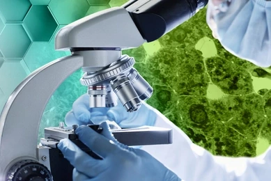 Gloved hands of young modern scientist preparing all the necessary equipment before carrying out new clinical experiment