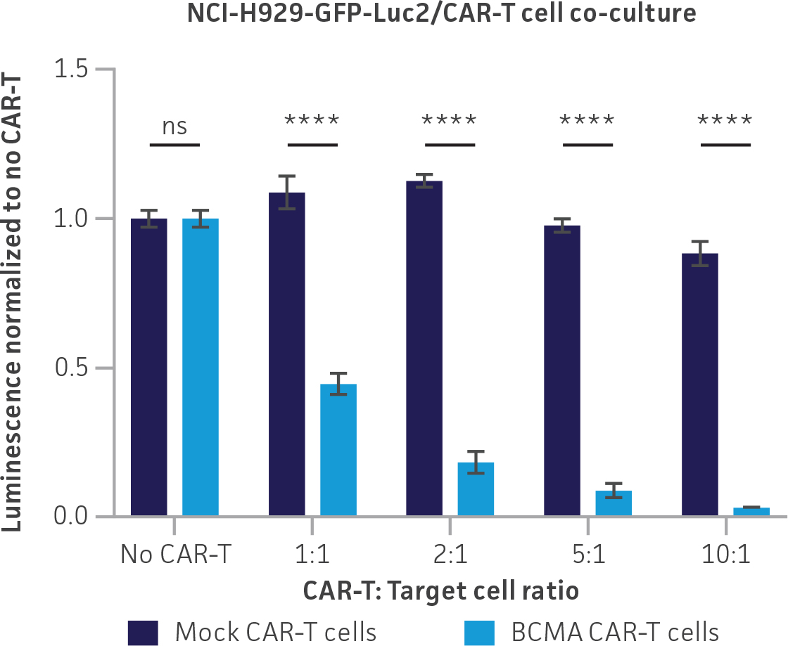 Bar graph showing luminescence normalized to no CAR-T in NCI-H929-GFP-Luc2 cell co-cultures with either Mock or BCMA CAR-T cells at varying CAR-T to target cell ratios. Significant reduction in luminescence is observed with BCMA CAR-T cells, especially at higher ratios, indicating effective cell killing.