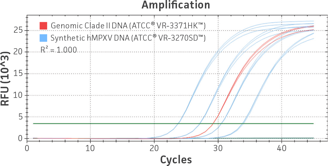 A qPCR amplification plot shows efficient and overlapping amplification curves for synthetic hMPXV DNA (blue) and genomic Clade II hMPXV DNA (ATCC® VR‑3371HK™, red) using a Clade II–specific assay. The RFU versus cycle curves demonstrate comparable performance between synthetic and genomic DNA, with an R² value of 1.000 at 500 genome copies per reaction.