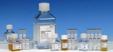 Image showing a collection of laboratory bottles and vials containing cell culture media and reagents, including a prominently labeled "Vascular Cell Basal Medium" from ATCC Primary Cell Solutions.