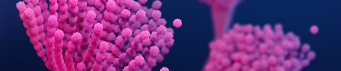 Pink, flower-like strands of Aspergillus fumigatus fungus.