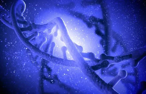 Blue, purple, and white parts of DNA strand.