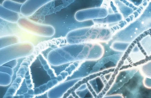 DNA rods with bacteria.