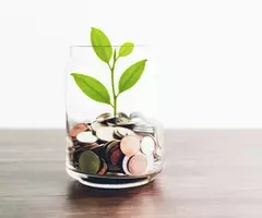 A clear glass filled with a green leave sprouting from a pile of coins.