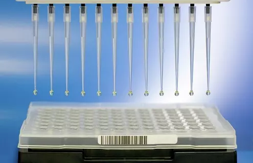 Row of pipettes over a well plate.