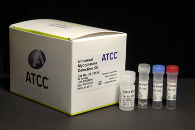 White box with ATCC printed on the side, labeled "universal mycoplasma detection kit," with capped vials next to it.