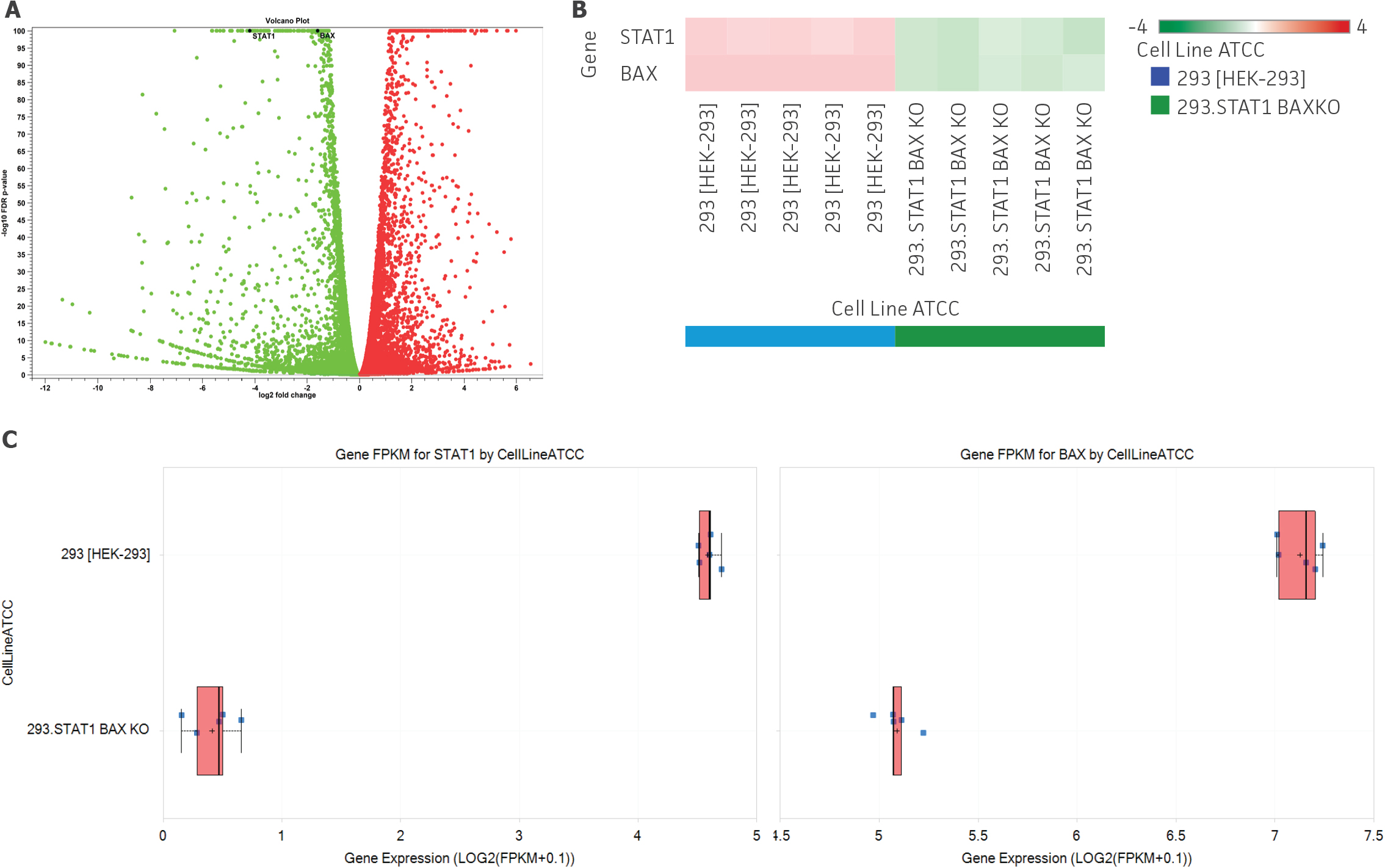 Visualization of DEGs in the 293.STAT1 BAX KO cells as compared to parental HEK-293 cells.