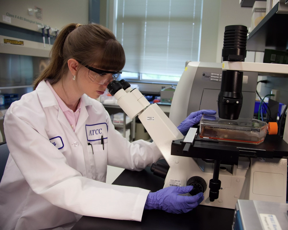 Female ATCC scientist in lab coat, safety glasses, and gloves, looking at media in a flask using an inverted microscope.