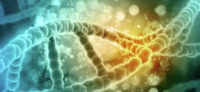 DNA helix made of green and yellow puffy balls.