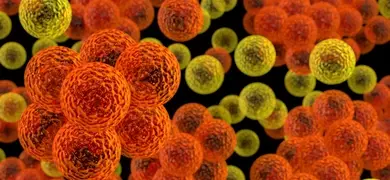 3d render illustration of cocci bacteria