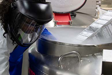 Scientist wearing safety mask, smock, and gloves removing stock from cryo tank in repository.