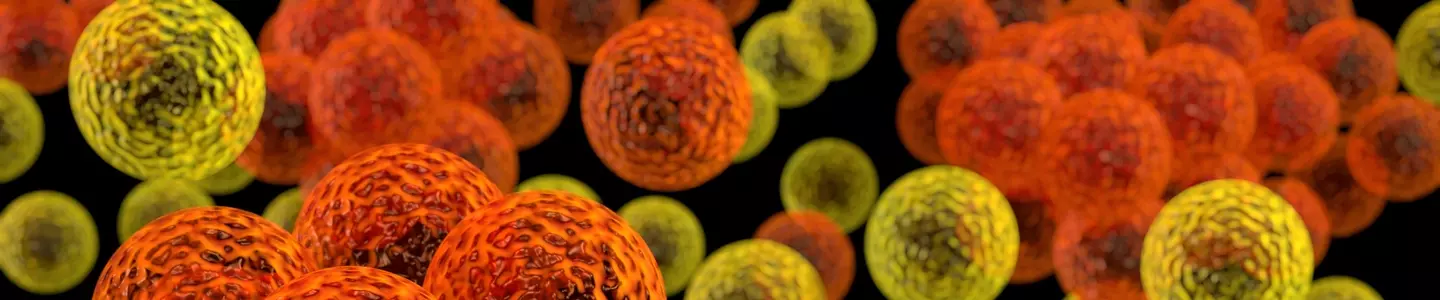 3d render illustration of cocci bacteria