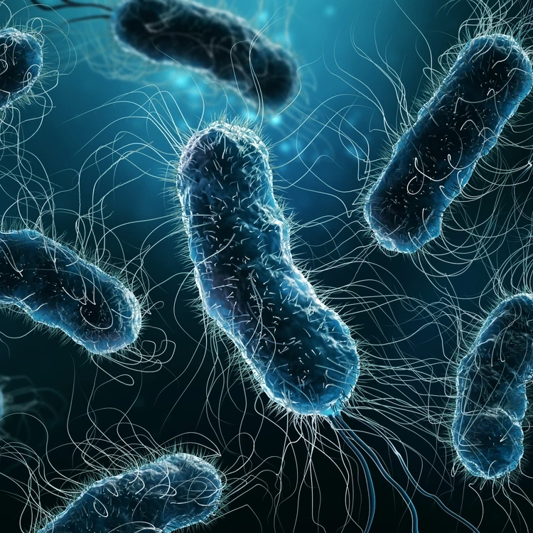 Colony of bacteria close-up 3D rendering illustration on blue background