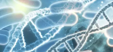 DNA rods with bacteria.