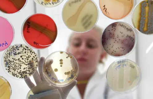 Underside view of scientist reaching down with gloved hand to petri dishes containing various types and colors of media.