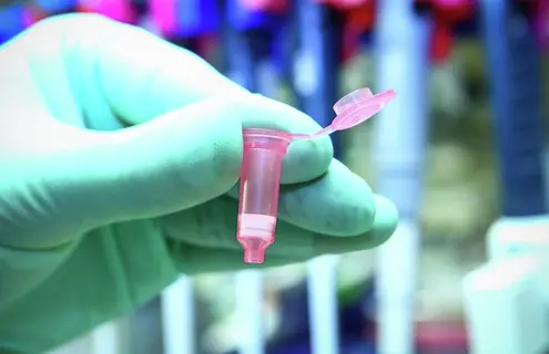 Gloved hand holding small, plastic, pink vial with flip-top lid open.