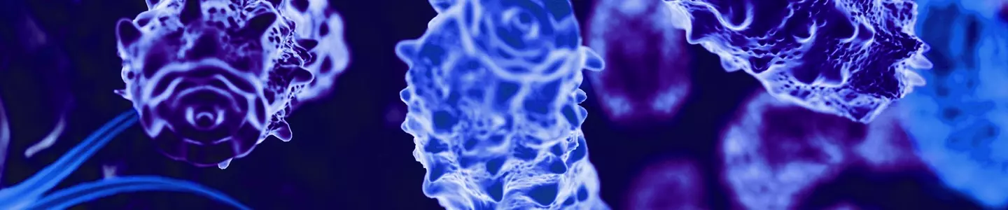 Rod-shaped, purple, blue, fluorescent, knobby bacteria with teeth-like ends.