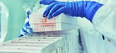 A scientist in a white lab coat and blue gloves handles frozen samples in a laboratory, with frost and cold vapor rising from the containers.