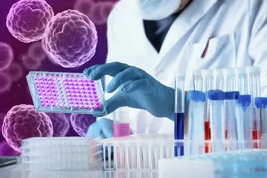 Researcher working with microplate panel for elisa analysis